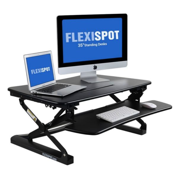 FlexiSpot M2B Standing Desk
