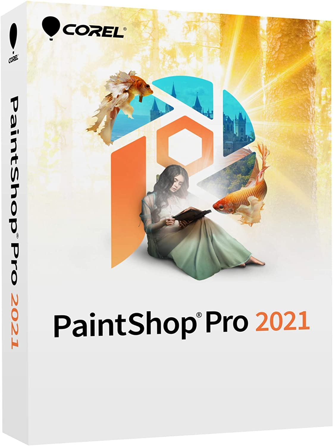 Corel PaintShop Pro 2021 | Photo Editing & Graphic Design Software